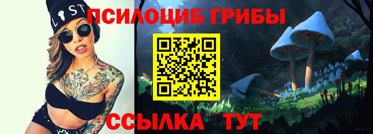 Псилоцибиновые грибы GOLDEN TEACHER Новоалтайск